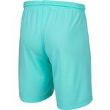 Nike DRI-FIT PARK 3 Muške kratke hlače, tirkiz, veličina | shoptok.hr