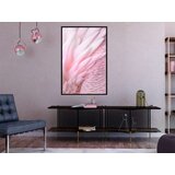  Poster - Pink Feathers 30x45 | shoptok.hr