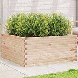 vidaXL Vrtna sadilica 100x100x46 cm od masivne borovine | shoptok.hr