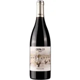 Cepa 21 10502108 2021