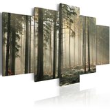  Slika - Light in a dark forest 200x100 | shoptok.hr