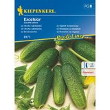 KIEPENKERL Sjeme povrća krastavac Excelsior (Cucumis sativus, Vrijeme sjetve: Svibanj, Berba: Srpanj) KIEPENKERL Sjeme povrća krastavac Excelsior (Cucumis sativus, Vrijeme sjetve: Svibanj, Berba: Srpanj) Slike