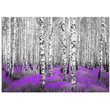  Tapeta - Purple asylum 350x245 | shoptok.hr