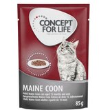 Concept for Life Maine Coon Adult - izboljšana receptura! - Kot dopolnilo: Maine Coon Adult 12 x 85 g | shoptok.hr