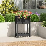 vidaXL Sadilica s policom siva 54 x 34 5 x 81 cm od masivne borovine Cijene