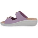 Grunland Japonke Glicine 59DABY Vijolična | Shoptok.si