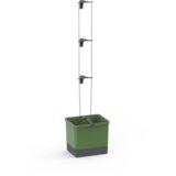 Gusta Garden Curt Cucumber - Temno zelena | Shoptok.si