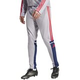Adidas Muški donji deo trenerke Sq25 Tr Pnt, Svetlosivi Cene