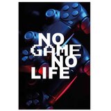  Slika - No Game No Life (1 Part) Vertical 20x30 Premium Print | shoptok.hr