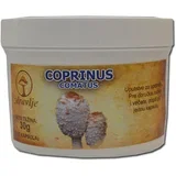 Coprinus comatus gljiva EP, 100cps