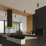 Nice Lamps Crna/u srebrnoj boji stropna svjetiljka Crown – | shoptok.hr