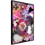  Poster - Summer Night's Dream II 40x60 Cijene