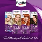 Schwarzkopf Palette Intensive Color Creme permanentna barva za lase odtenek 10-19 Cool Silver Blonde 1 kos | Shoptok.si