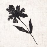 Rosa TALENT Botanička drvena marka br. 11 | shoptok.hr