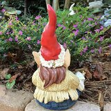 Smania par vrtnih palčkov gnomestock | Shoptok.si