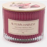 Sinsay Svijeća Autumn Harvest | shoptok.hr