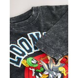 Next Majica 'Looney Tunes' temno siva / zelena / rdeča / bela | Shoptok.si