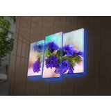 Wallity Set slika sa LED osvetljenjem 3PATDACT-20, 3 Dela | ePonuda.com