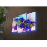 Wallity Set slika sa LED rasvjetom 3PATDACT-20, 3 dijela | Eponuda.ba