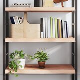 Maison Chic Stenska polica - Viseča Polica 100x40x(2-6) cm neobdelana trdna hrastovina, (21784631) | Shoptok.si
