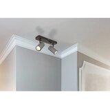 Globo reflektor 2x GU10 25W robby | shoptok.hr