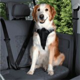 Trixie oprsnica za psa za avto | Shoptok.si