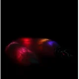 Analna kupa Light-up Fox Tail with Metal Butt Plug
