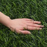  Umjetna ograda Svijetlo zelena 1,5 x 4 m PVC i čelik | shoptok.hr