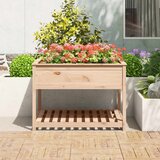  Sadilica s policom 111,5x111,5x81 cm od masivne borovine | shoptok.hr