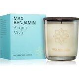 Max Benjamin Acqua Viva dišeča sveča 210 g Cene