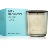 Max Benjamin Acqua Viva mirisna svijeća 210 g