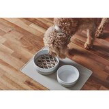 MiaCara porcelanasta posoda za hrano za pse ø 21,5 cm coppa greige m/l | Shoptok.si