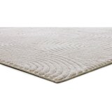 Universal Krem tepih 160x230 cm Estilo – | shoptok.hr
