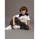 Sinsay majica kratkih rukava Hot Wheels za dječake 295BM-00X | shoptok.hr