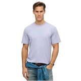 Superdry muška majica sa printom na leđima SDM1012121A-V2L Cene
