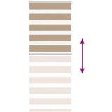 vidaXL Zebra senčilo peščeno rjava 60x150 cm tkanina širina 55,9 cm | Shoptok.si