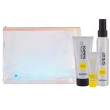 ALCINA Hyaluron 2.0 set: šampon Hyaluron 2.0 100 ml + balzam Hyaluron 2.0 20 ml + sprej za lase Hyaluron 2.0 100 ml + kozmetična torbica za ženske Cene