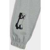 Sinsay Oversize jogger trenirke Minecraft Slike