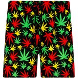 Frogies Men's swim shorts Mr. Green | shoptok.hr