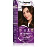 Schwarzkopf Palette Intensive Color Creme trajna boja za kosu nijansa 3-65 (W2) Dark Chocolate 1 kom | shoptok.hr