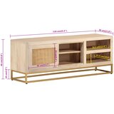 TV ormarić 110 x 30 x 40 cm od masivnog drva manga i željeza | shoptok.hr
