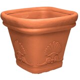 Saksija Di Martino Zeus | ePonuda.com