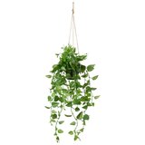 Modern Living Umetna Rastlina Philodendron Ii -Paz- -Ext- Cene