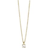 Nakit 2JEWELS OGRLICA 251869 | shoptok.hr