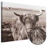  Slika - A Scottish Cow in Sepia 120x80 Premium Print | shoptok.hr