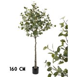 Lilium stablo eukaliptus 160cm 567380 | Eponuda.com