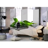 Artgeist Paravan Zen Ii, 5-Delni, Dvostranski | Shoptok.si
