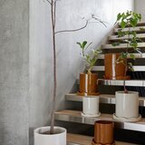 OYOY Living Design Ročno poslikan okrasni cvetlični lonec iz kamenine ø 21,5 cm Nami – | Shoptok.si