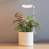  LED lampa za unutrašnji uzgoj biljaka LED/10W/5V 3200K | Eponuda.com