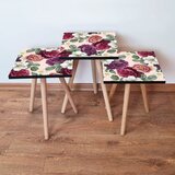 Hanah home 3Shp174 - multicolor multicolor nesting table (3 pieces) Cene